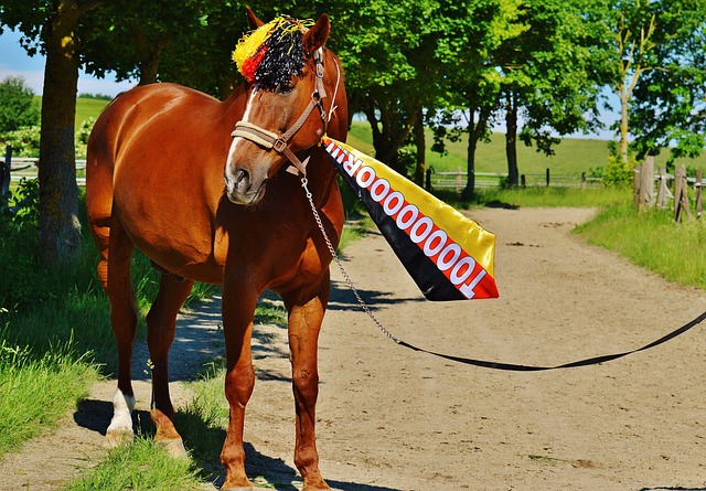 尤文图斯 尤文图斯