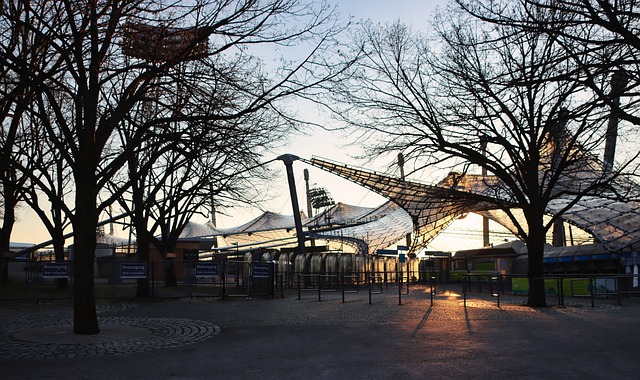 的顶级得分 的顶级得分