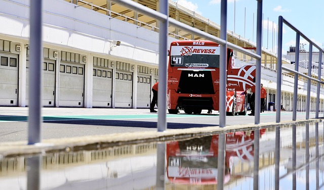 往往会引发 往往会引发