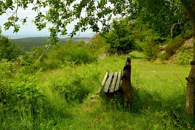 赢得更多荣 赢得更多荣