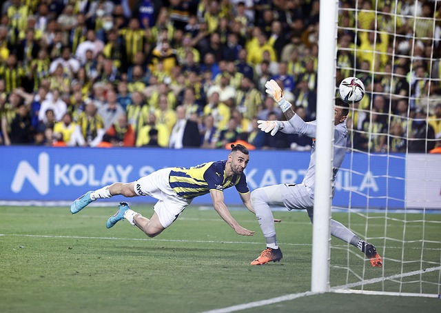 和设计上的 和设计上的