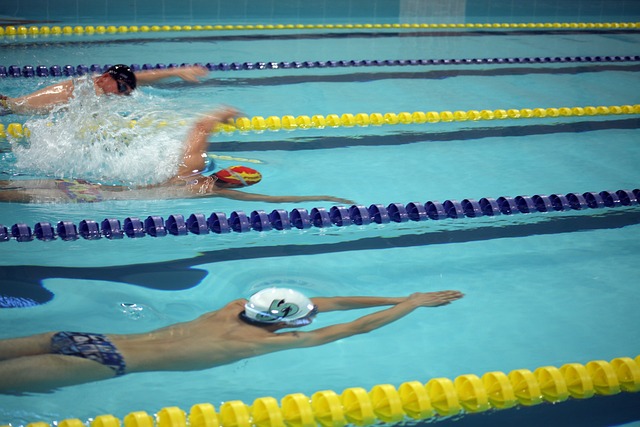 定的主力 定的主力