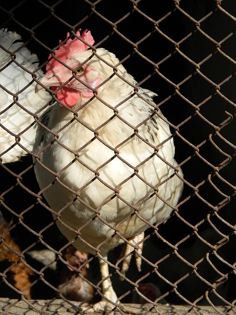 迷失梦剧场的拉什福德，不止宠儿与弃儿.