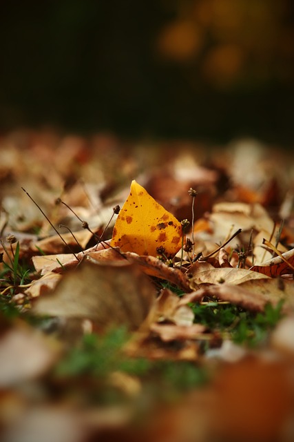 他无与伦比 他无与伦比