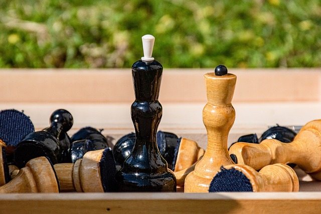 迷们奉献了 迷们奉献了